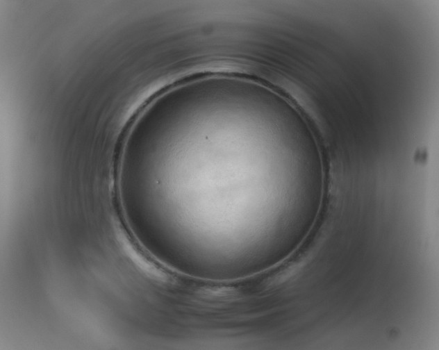 X0000113330837200909211218