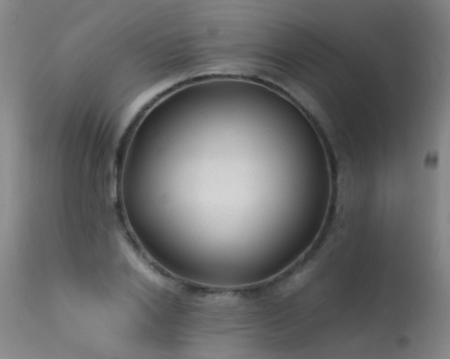 X0000113330838200909211218