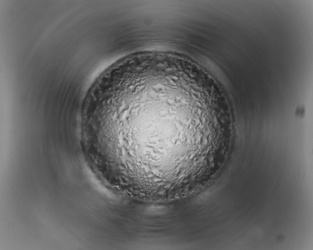 X0000113330839200909211218