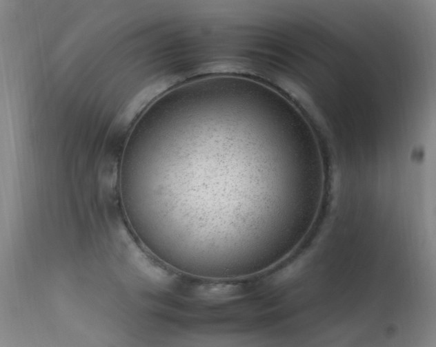 X0000113330841200909211218