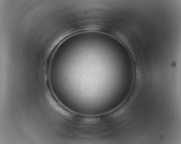 X0000113330843200909211218