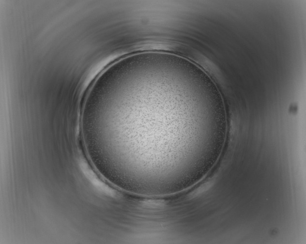X0000113330844200909211218