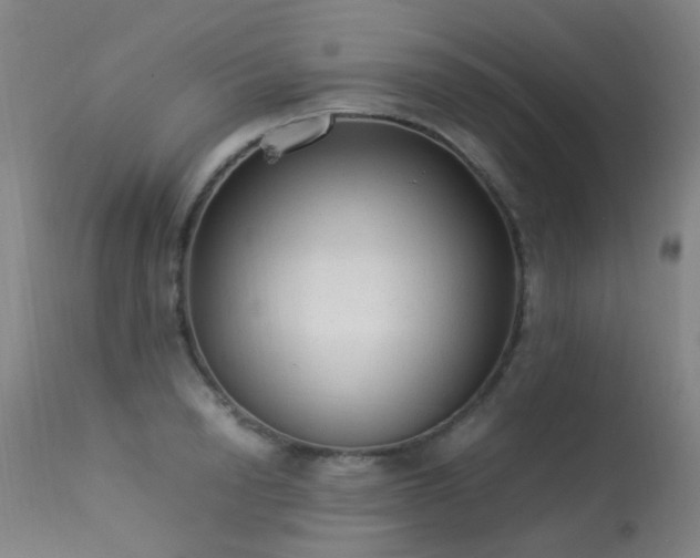 X0000113330846200909211218