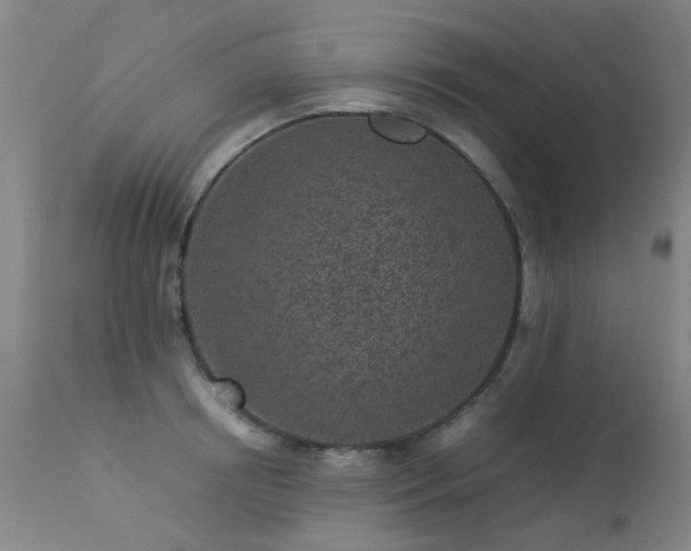 X0000113330850200909211218
