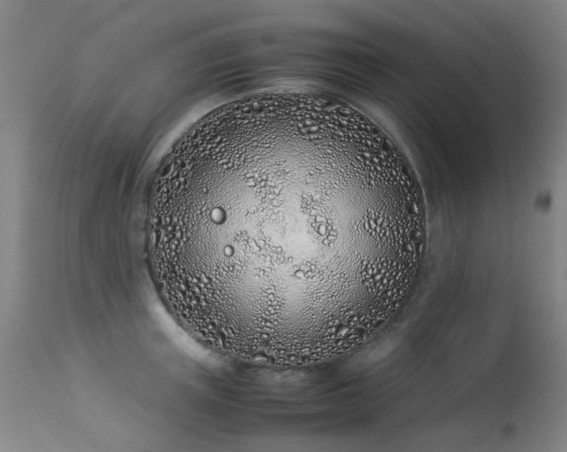 X0000113330851200909211218