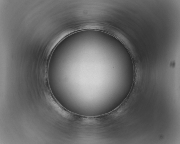 X0000113330852200909211218