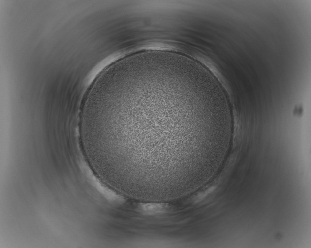 X0000113330853200909211218