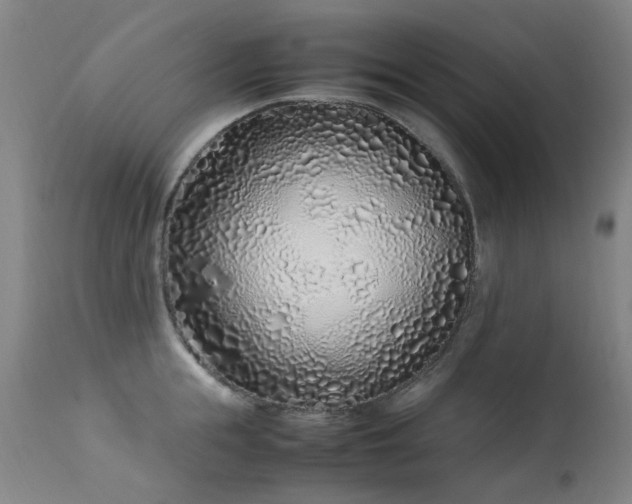 X0000113330855200909211218