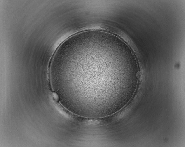 X0000113330858200909211218