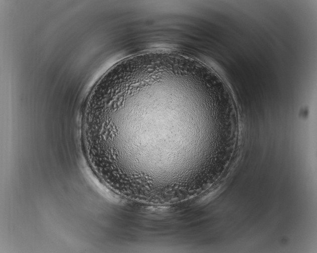 X0000113330859200909211218