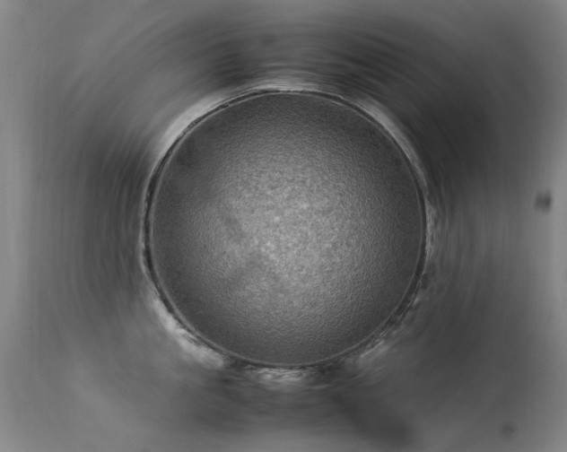 X0000113330861200909211218