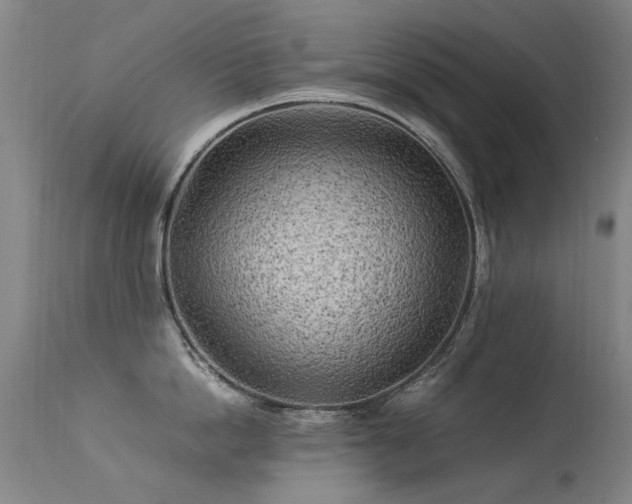 X0000113330862200909211218