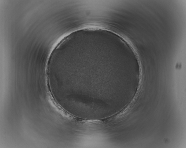 X0000113330864200909211218