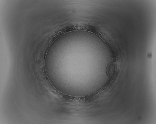 X0000113330865200909211218