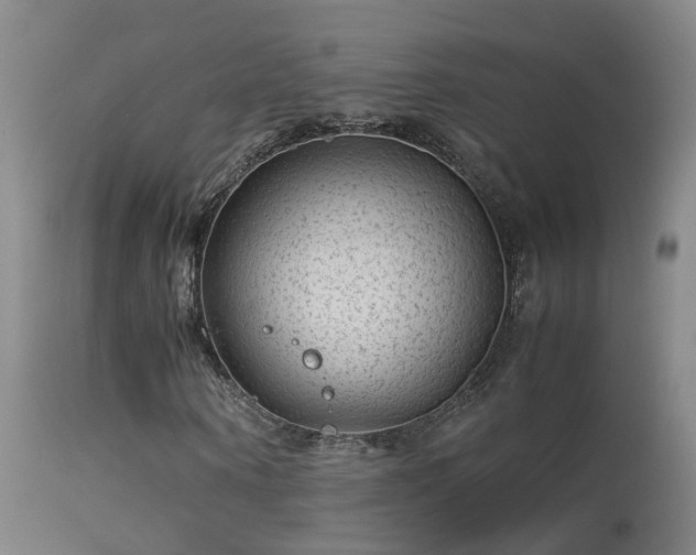 X0000113330866200909211218