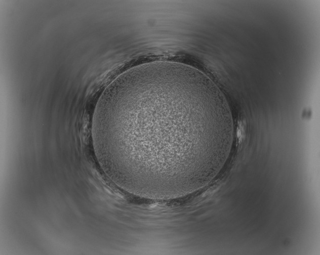 X0000113330867200909211218