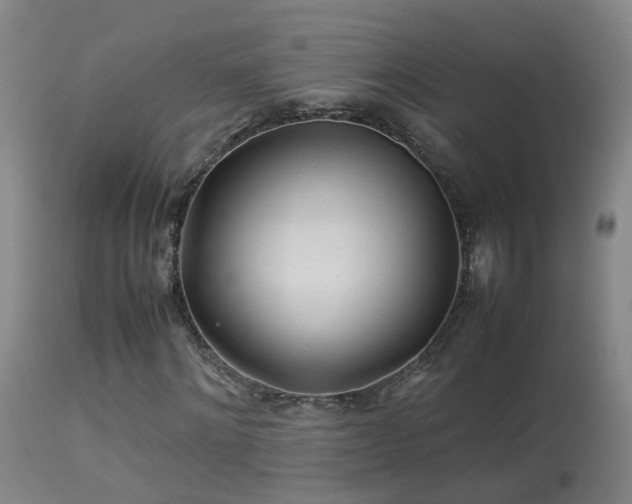 X0000113330868200909211218
