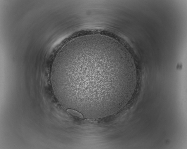 X0000113330871200909211218