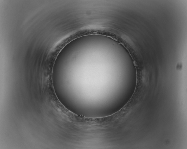 X0000113330872200909211217