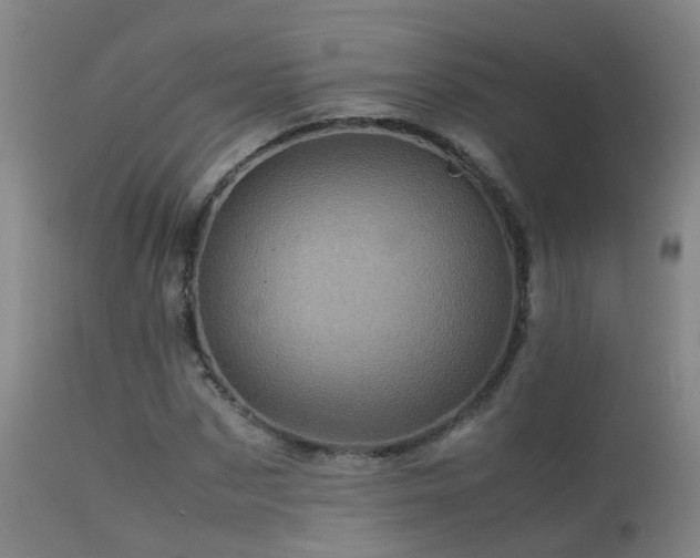 X0000113330873200909211217
