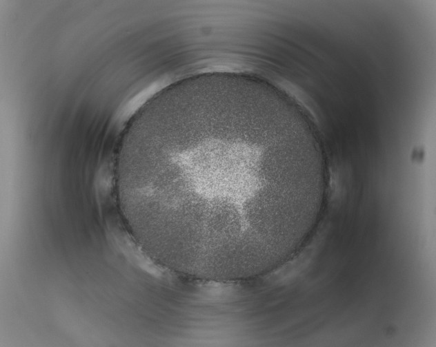 X0000113330874200909211217
