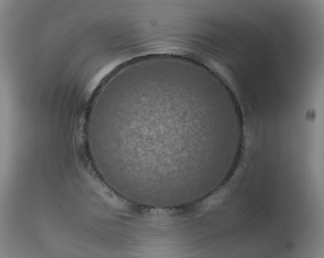 X0000113330875200909211217