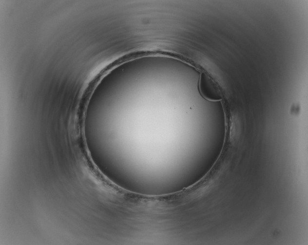 X0000113330876200909211217