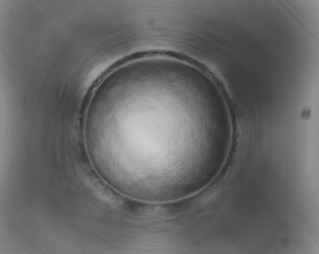 X0000113330879200909211217