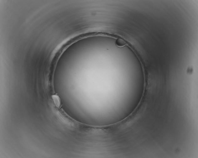 X0000113330880200909211217
