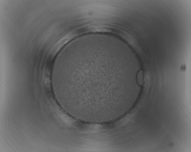 X0000113330881200909211217