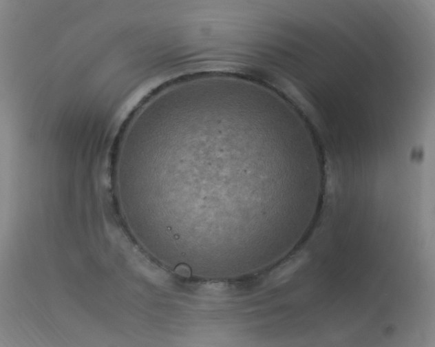 X0000113330883200909211217