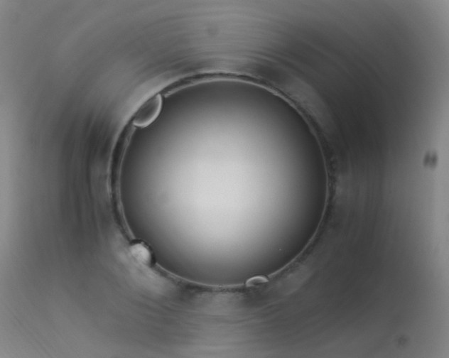 X0000113330884200909211217