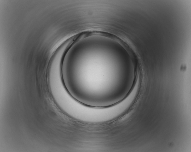 X0000113330885200909211217