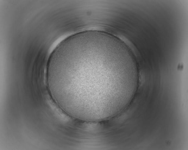 X0000113330886200909211217