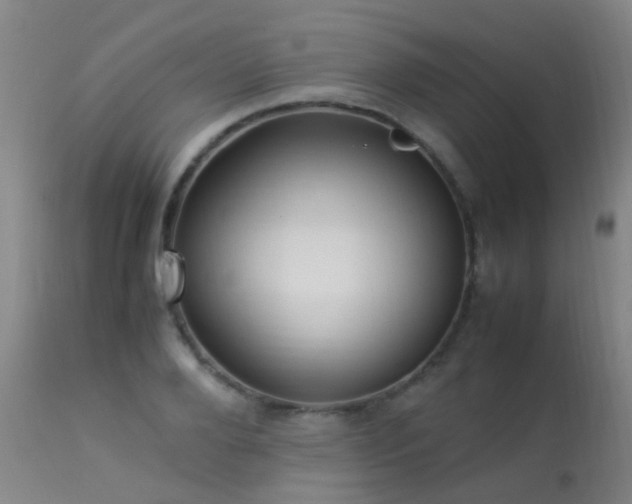 X0000113330888200909211217