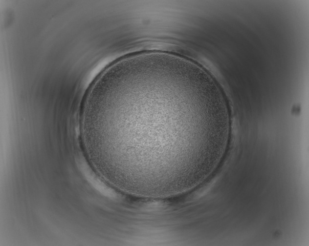 X0000113330891200909211217