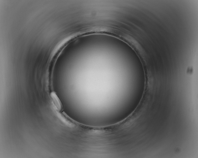 X0000113330894200909211217