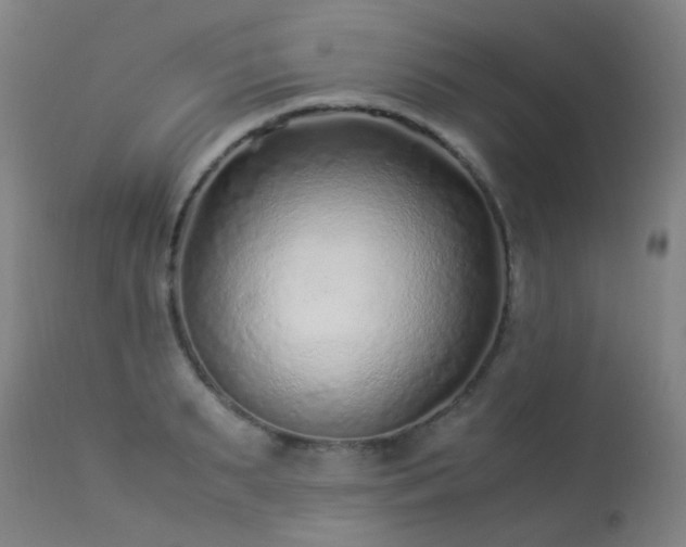 X0000113330895200909211217