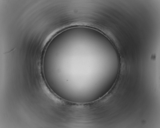 X0000113330896200909211217