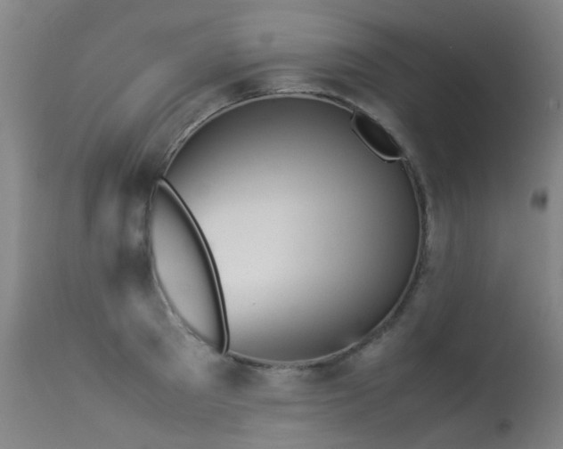 X0000113330897200909211217