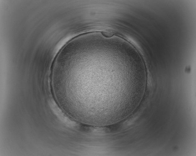 X0000113330899200909211217