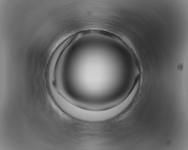 X0000113330901200909211217