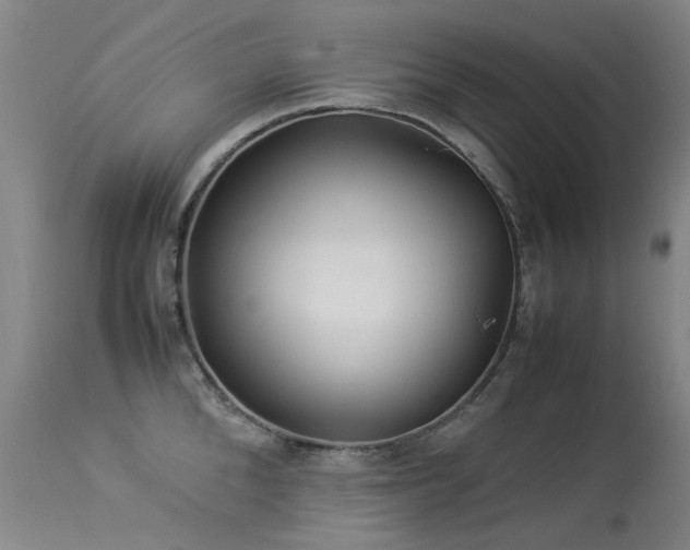 X0000113330904200909211217