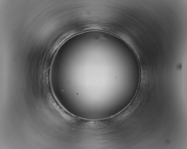 X0000113330906200909211217