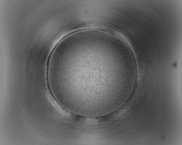 X0000113330907200909211217