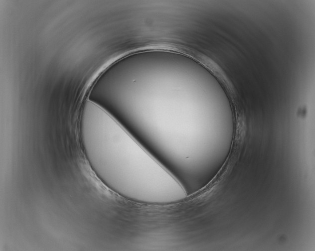 X0000113330908200909211217