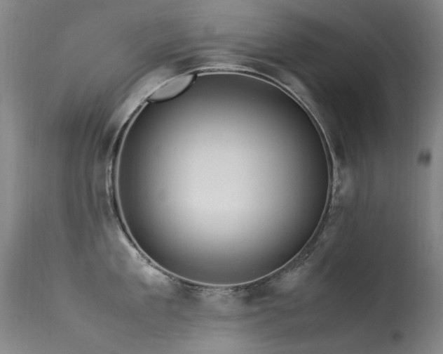 X0000113330909200909211217