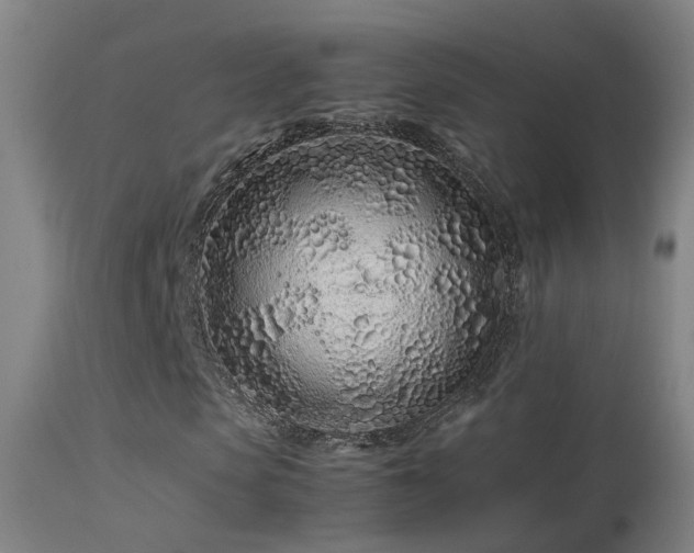 X0000113330913200909211216