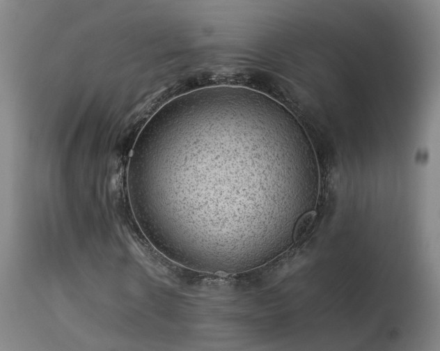 X0000113330914200909211216
