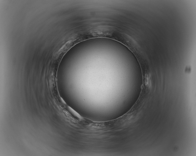 X0000113330915200909211216
